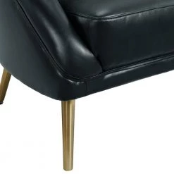 Taya Arm Chair with Gold Legs In Black by Picket House Furnishings -Picket House Furnishings Sales Store black picket house furnishings accent chairs uti123100gce 1d 1000