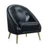 Taya Arm Chair with Gold Legs In Black by Picket House Furnishings