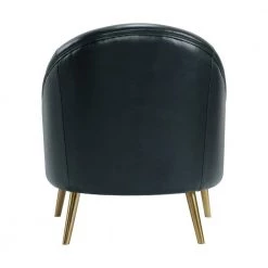 Taya Arm Chair with Gold Legs In Black by Picket House Furnishings -Picket House Furnishings Sales Store black picket house furnishings accent chairs uti123100gce 66 1000