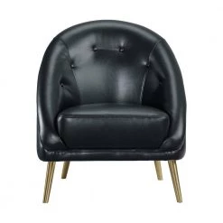 Taya Arm Chair with Gold Legs In Black by Picket House Furnishings -Picket House Furnishings Sales Store black picket house furnishings accent chairs uti123100gce c3 1000