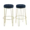 Vera 29 in. Navy Backless Metal Bar Stool (Set of 2) by Picket House Furnishings
