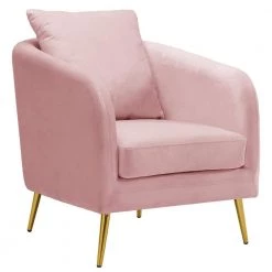 Blush Zuri Accent Chair with Gold Legs by Picket House Furnishings