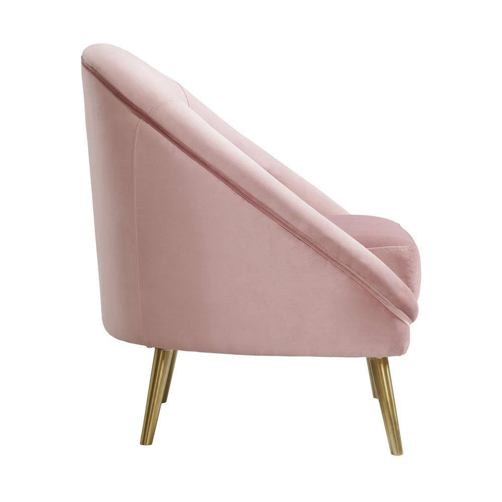 Blush Taryn Chair with Gold Legs by Picket House Furnishings 5 Blush Taryn Chair with Gold Legs by Picket House Furnishings - Image 5