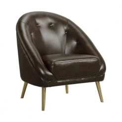 Brown Taya Chair with Gold Legs by Picket House Furnishings