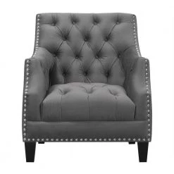 Perry Button Tufted Accent Chair in Charcoal by Picket House Furnishings