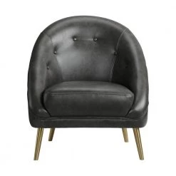 Magnetite Taya Chair with Gold Legs by Picket House Furnishings -Picket House Furnishings Sales Store magnetite picket house furnishings accent chairs uti120100gce c3 1000